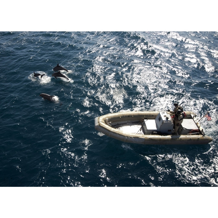 An inflatable boat travels alongside dolphins in the Atlantic Ocean Poster Print Image 2