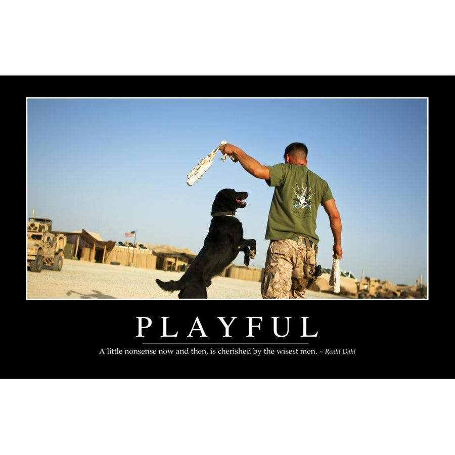 Playful: Inspirational Quote and Motivational Poster Poster Print Image 1