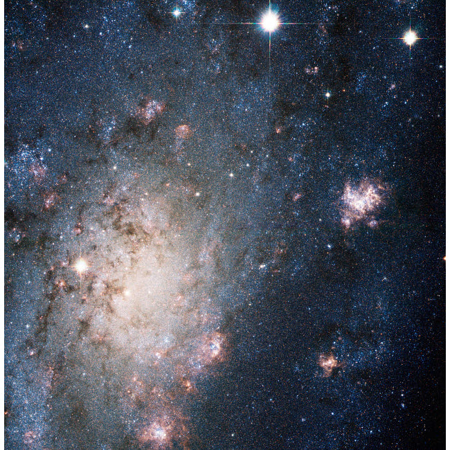 A supernova in the galaxy NGC 2403 Poster Print by Stocktrek Images Image 1