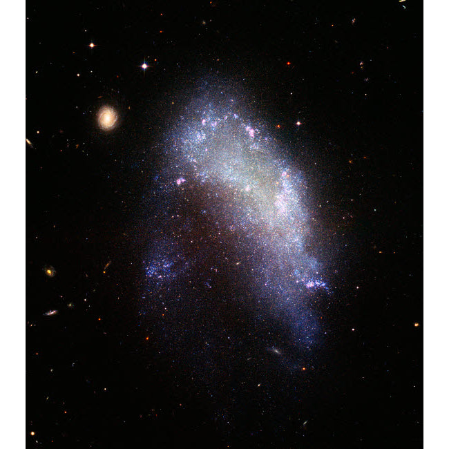 Irregular galaxy NGC 1427A Poster Print by Stocktrek Images Image 2