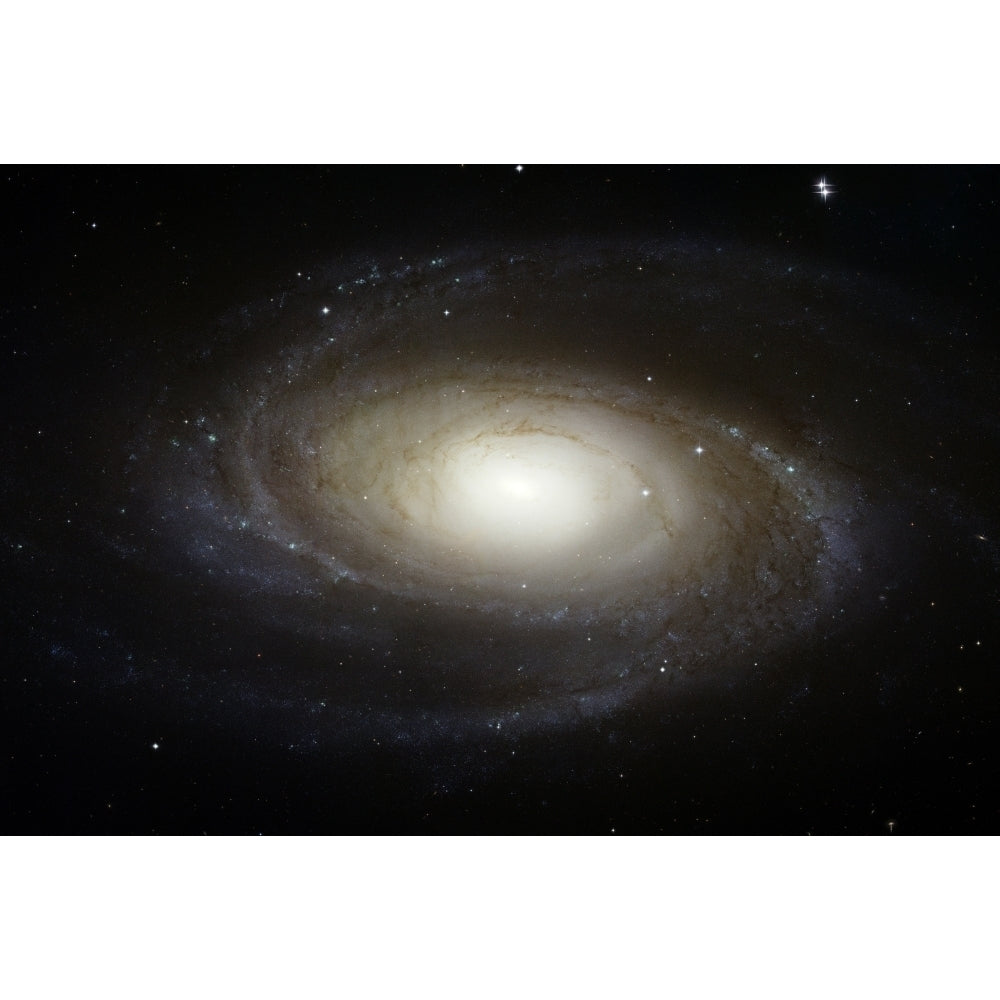 Spiral Galaxy M81 Poster Print Image 1