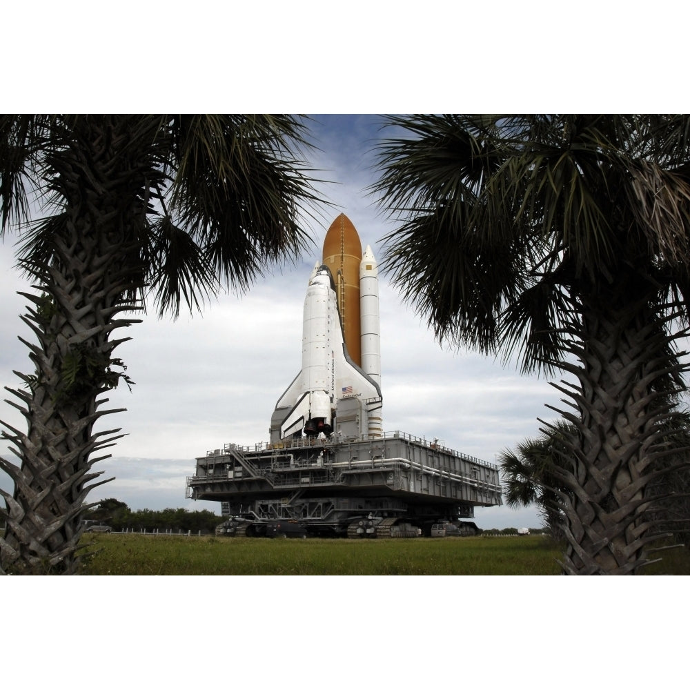 Palmetto trees frame space shuttle Endeavour as it rolls toward the launch pad Poster Print Image 1