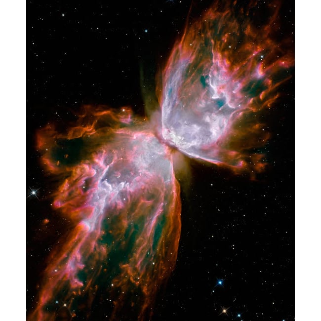 The Butterfly Nebula Poster Print by Stocktrek Images Image 1