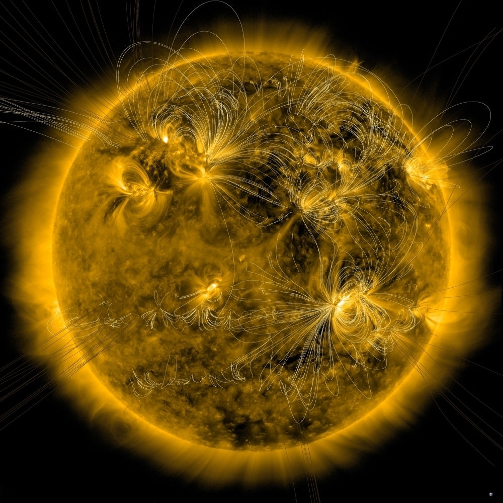 Magnetic field lines on the Sun Poster Print Image 1