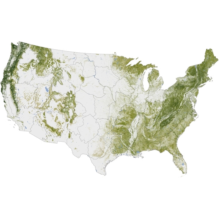 Map of the United States showing the concentration of biomass Poster Print Image 2