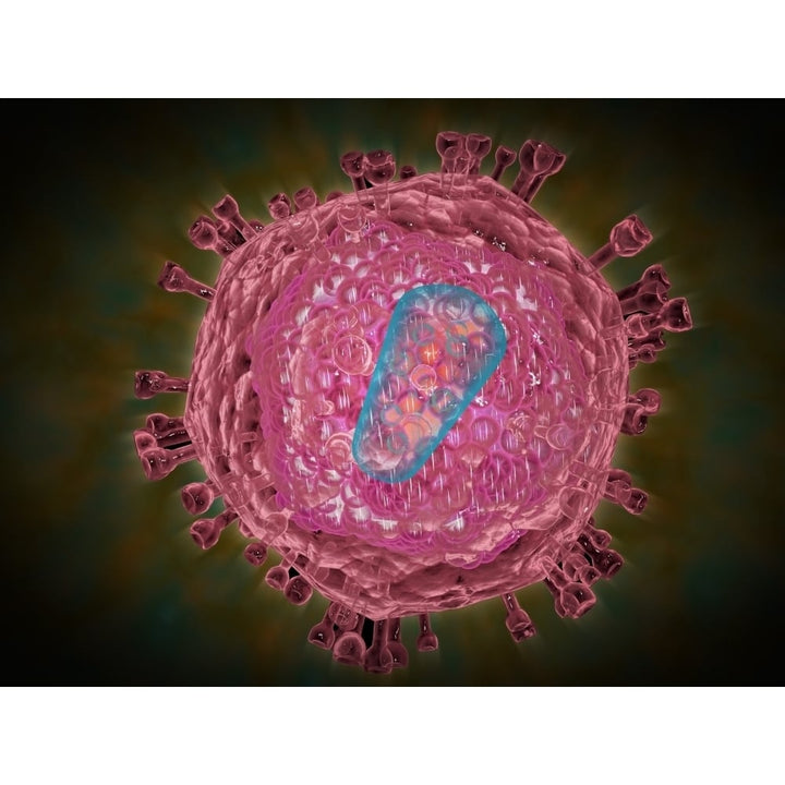 Cluster of HIV Poster Print Image 1