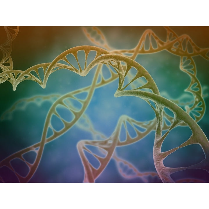 Cluster of DNA strands Poster Print Image 1