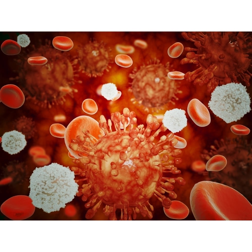 Microscopic view of H5N1 with red blood cells and white blood cells Poster Print Image 1