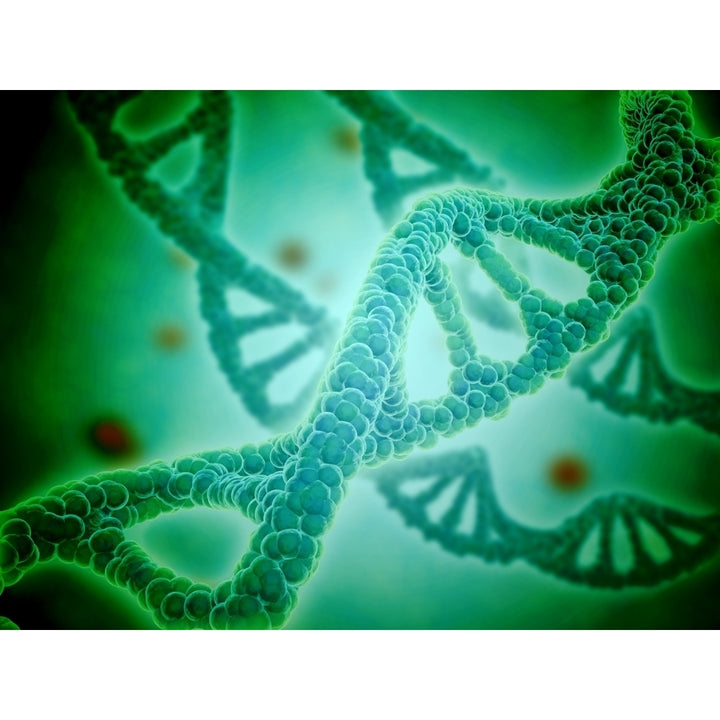 Microscopic view of DNA Poster Print Image 1