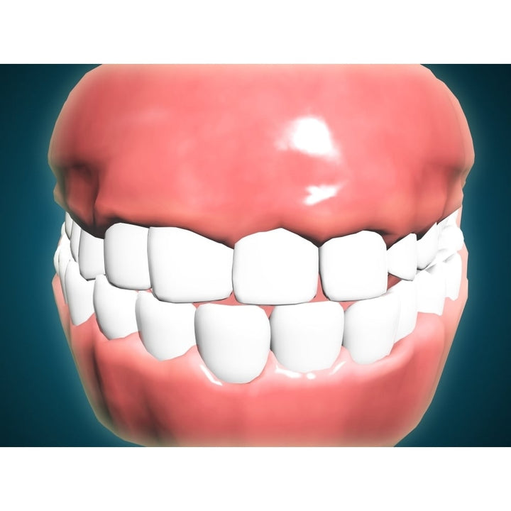 Front view of human mouth with teeth and gums Poster Print Image 1