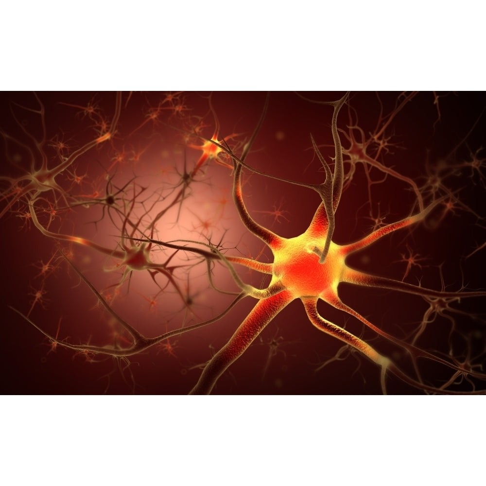 Conceptual image of neuron Poster Print Image 2