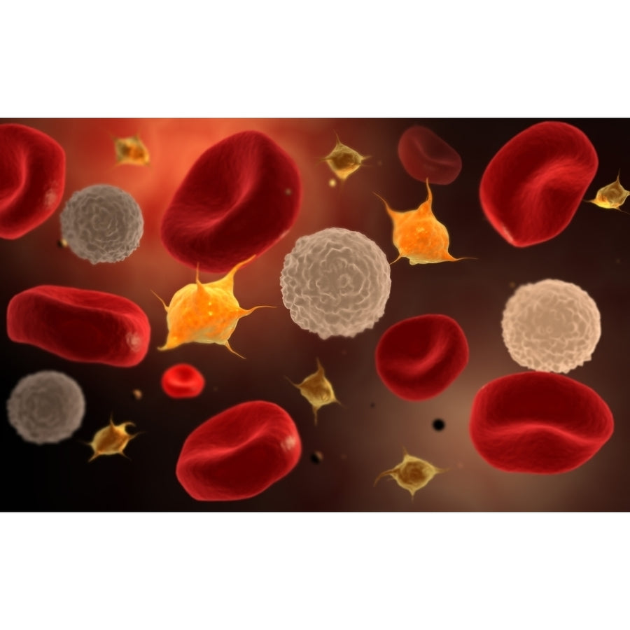 Conceptual image of platelets with red blood cells Poster Print Image 1