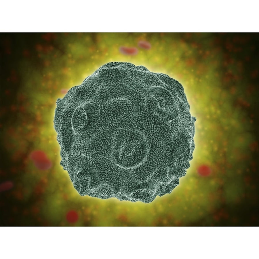 Conceptual image of the Human Papilloma Poster Print Image 1