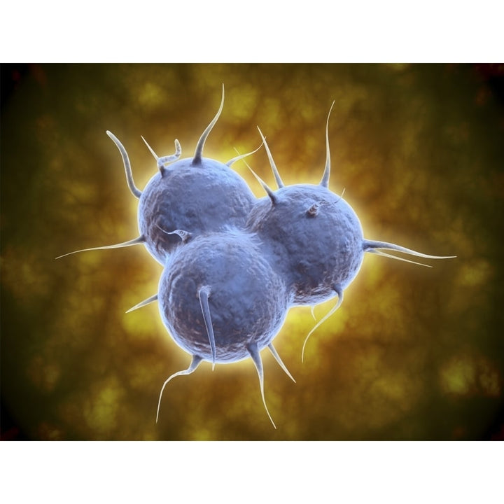 Conceptual image of RNA replication Poster Print Image 2