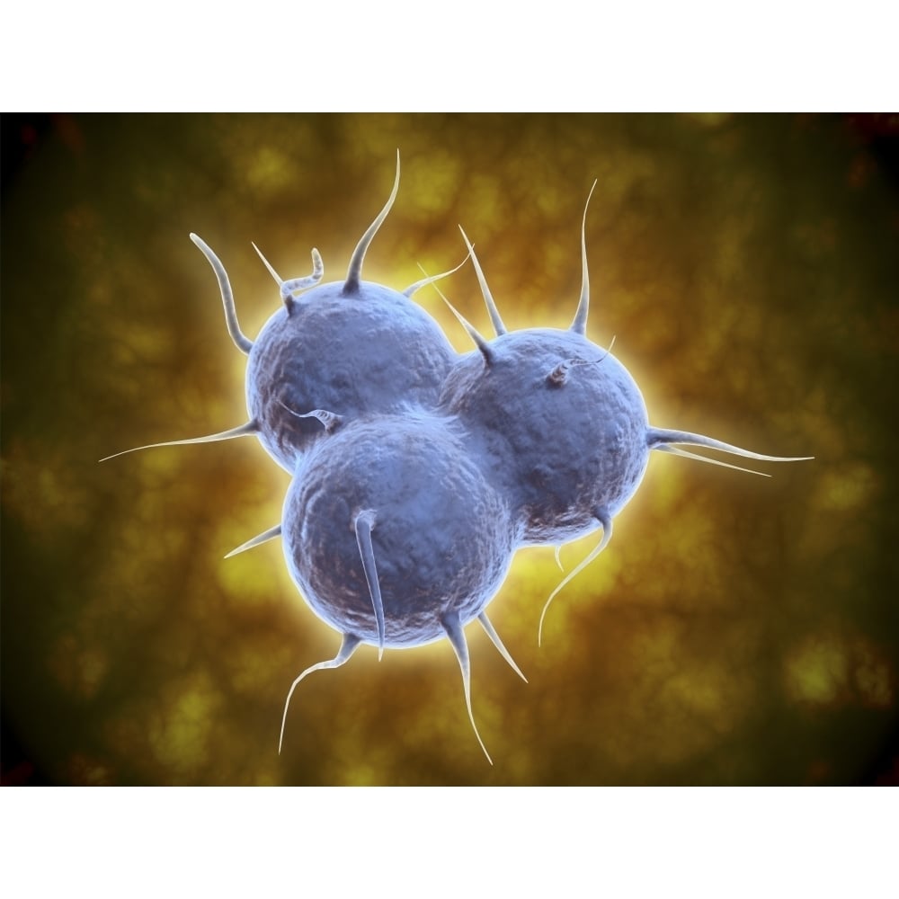 Conceptual image of RNA replication Poster Print Image 1