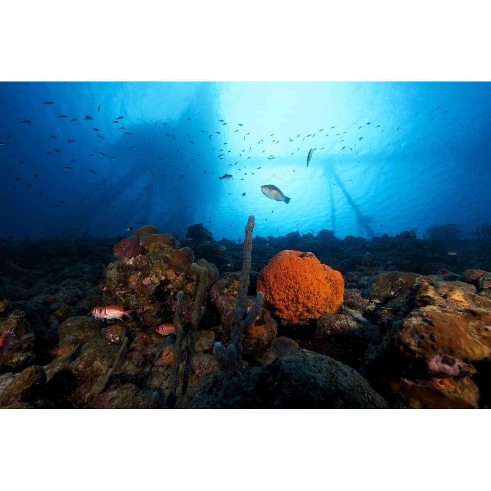 Salt Pier seen perched on top of reef Bonaire Caribbean Netherlands Poster Print Image 2