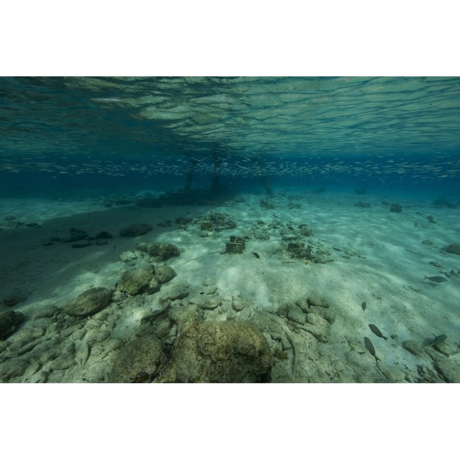 Shallow waters under Salt Pier Bonaire Caribbean Netherlands Poster Print Image 1