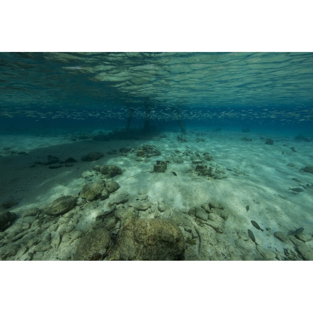 Shallow waters under Salt Pier Bonaire Caribbean Netherlands Poster Print Image 2