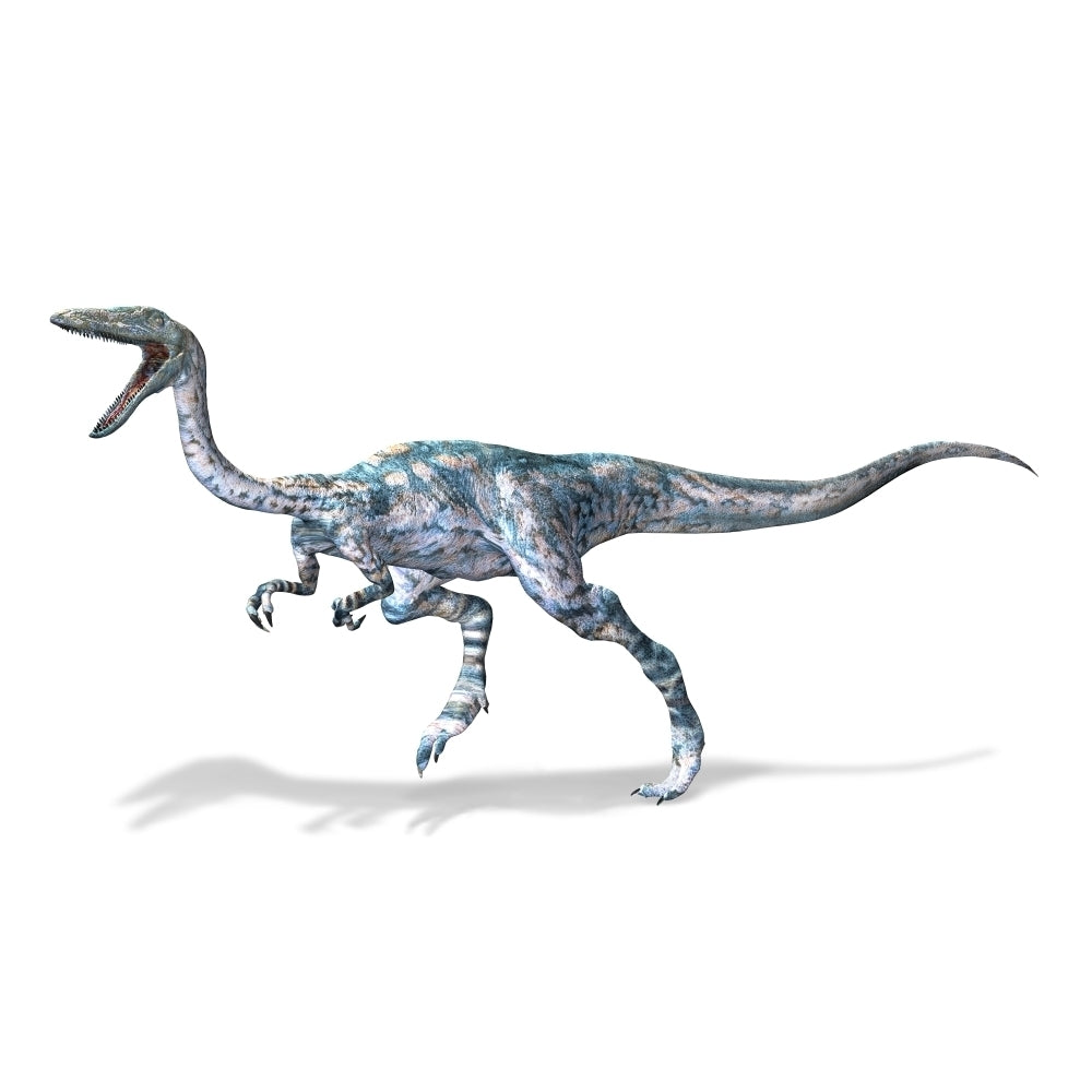 3D rendering of a Coelophysis dinosaur Poster Print Image 2