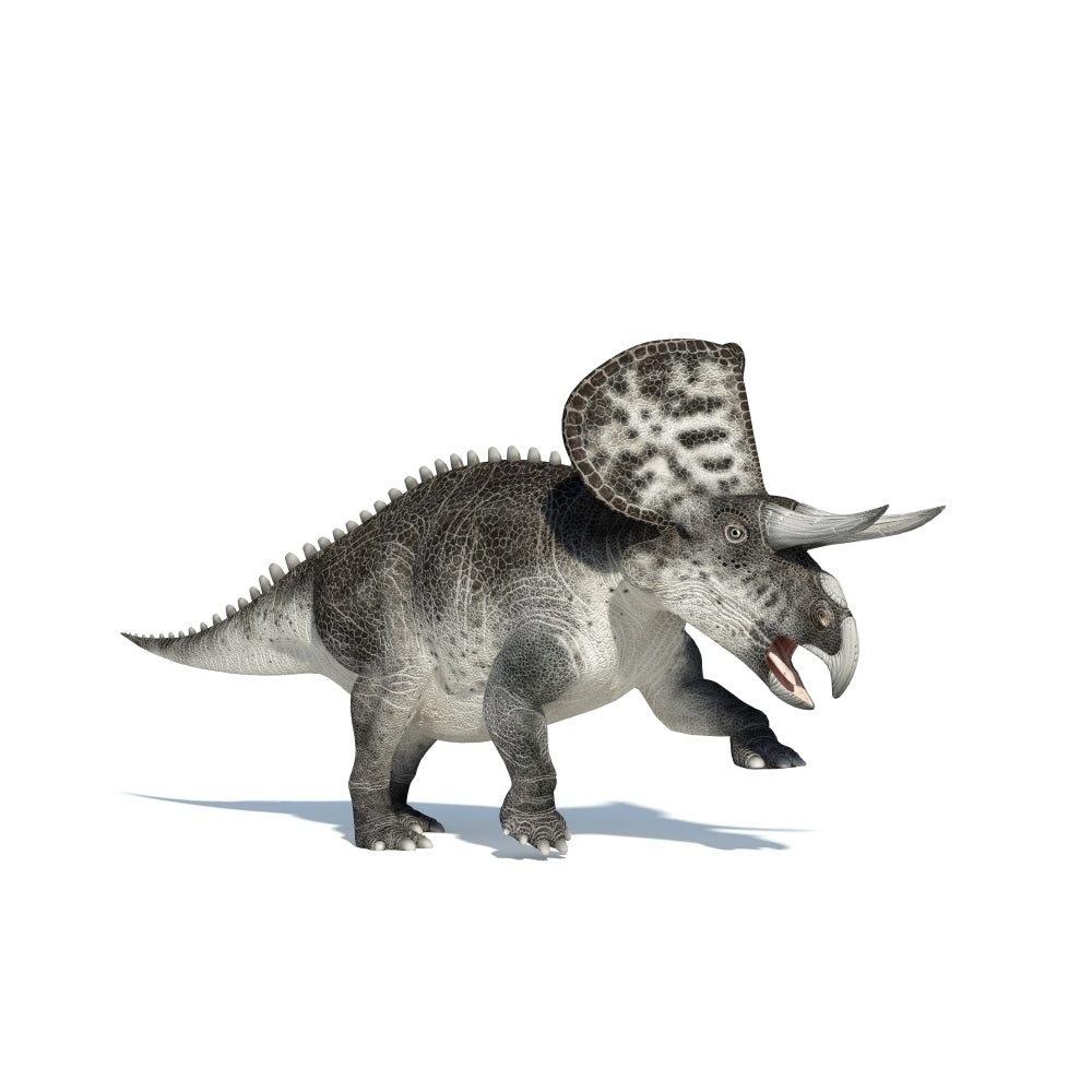 3D rendering of a Zuniceratops dinosaur Poster Print Image 1