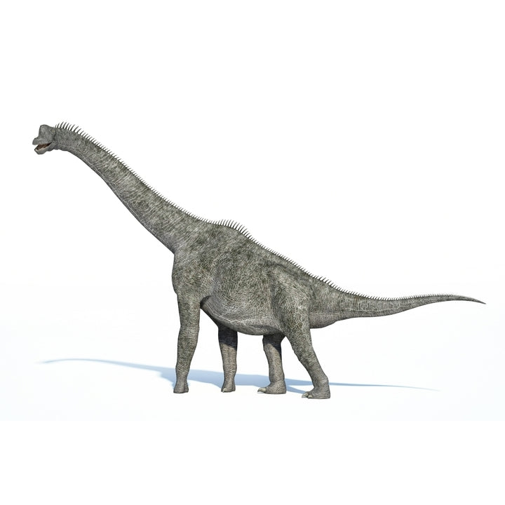 3D rendering of a Brachiosaurus dinosaur Poster Print Image 2