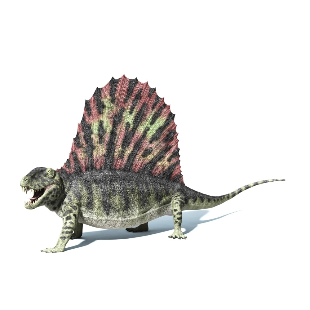 3D rendering of a Dimetrodon dinosaur Poster Print Image 2