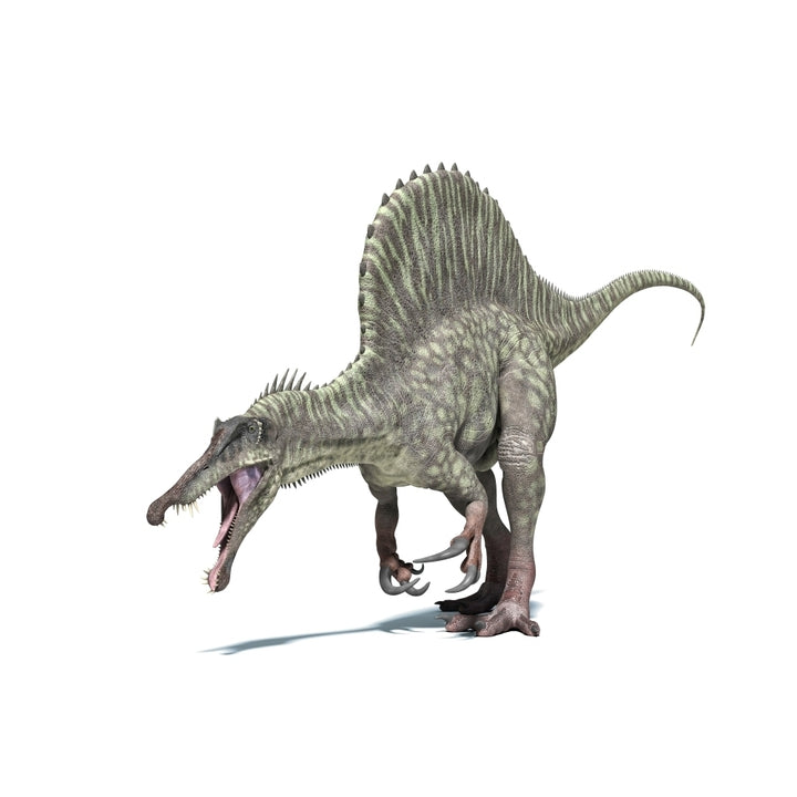 3D rendering of a Spinosaurus dinosaur Poster Print Image 1