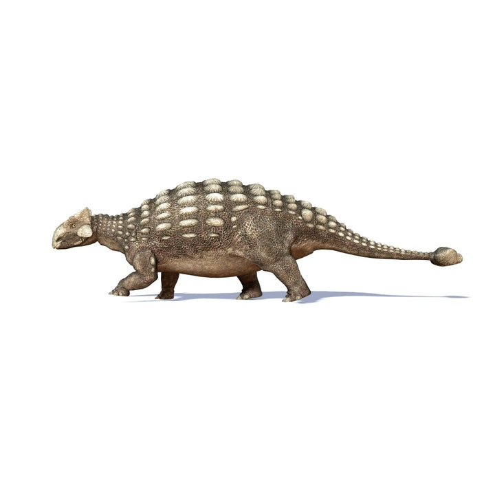 3D rendering of an Ankylosaurus dinosaur Poster Print Image 2