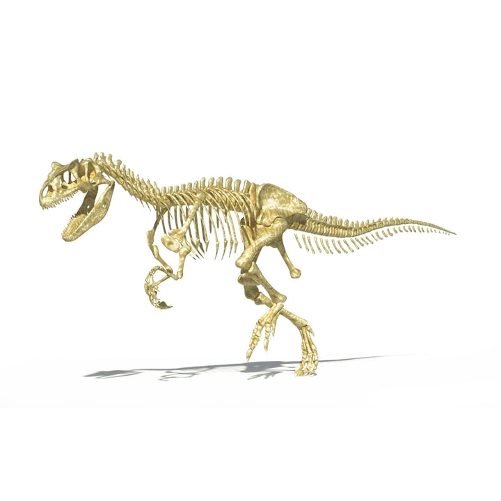 3D rendering of an Allosaurus dinosaur skeleton Poster Print Image 1