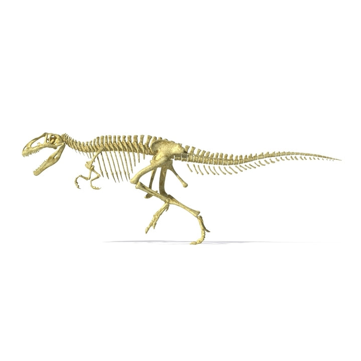 3D rendering of a Giganotosaurus dinosaur skeleton Poster Print Image 1