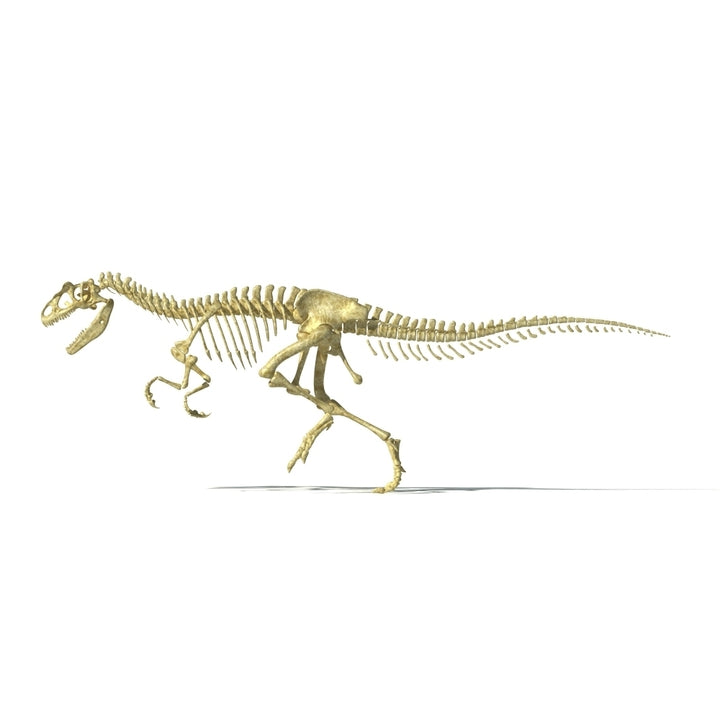 3D rendering of an Allosaurus dinosaur skeleton Poster Print Image 2