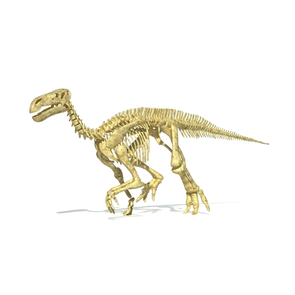 3D rendering of an Iguanodon dinosaur skeleton Poster Print Image 1