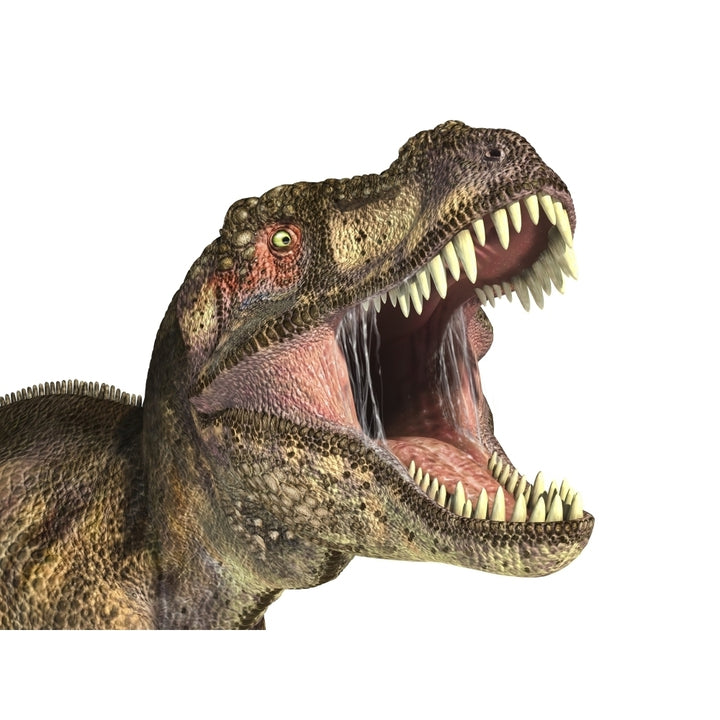 Close-up of Tyrannosaurus Rex dinosaur with mouth open Poster Print Image 2