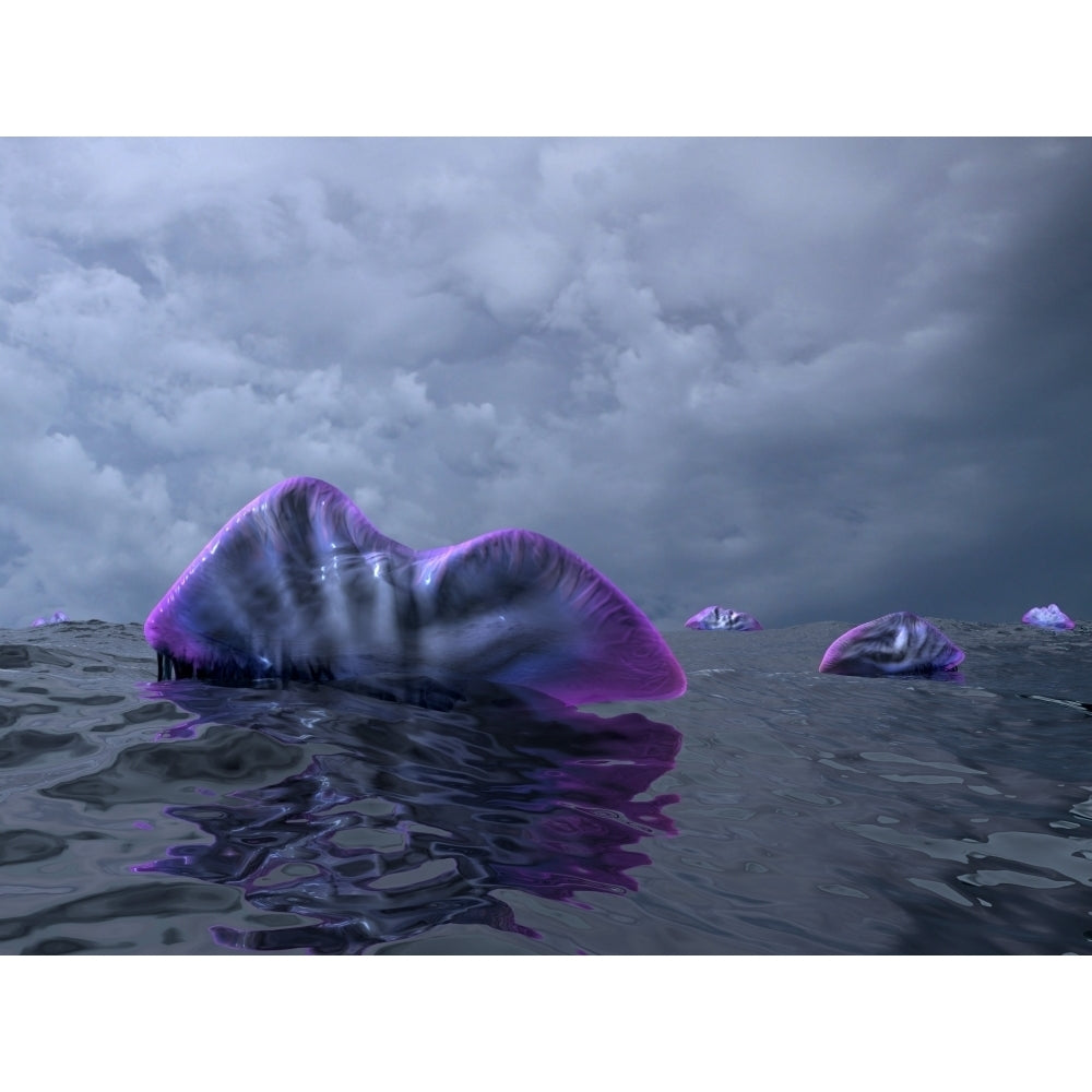 Portuguese Man o War swarm over the surface of a Cambrian ocean Poster Print Image 1