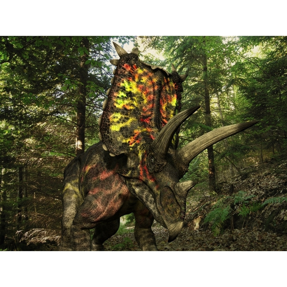 A colorful Pentaceratops wanders a Cretaceous forest Poster Print Image 2