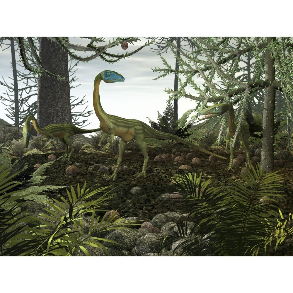 Coelophysis dinosaurs walk amongst a forest Poster Print Image 1