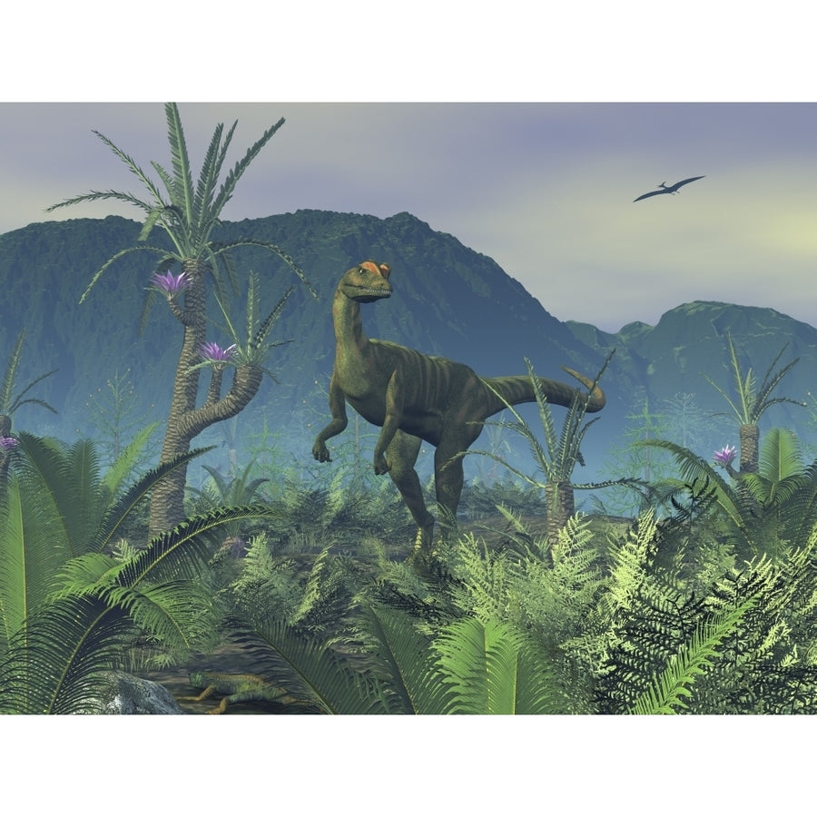 A colorful adult male Dilophosaurus explores a hilltop Poster Print Image 1