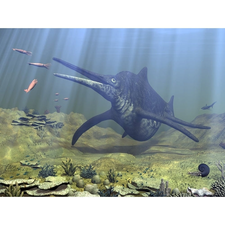 A massive Shonisaurus attempts to make a meal of a school of squid-like Belemnites Poster Print Image 1