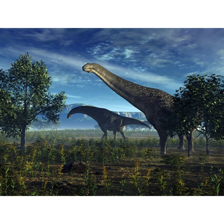 Isisaurus dinosaurs wander lush plains Poster Print Image 1