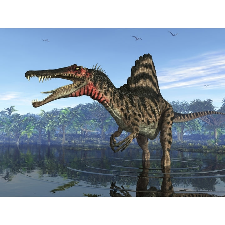 A Spinosaurus searches for its next meal Poster Print Image 1