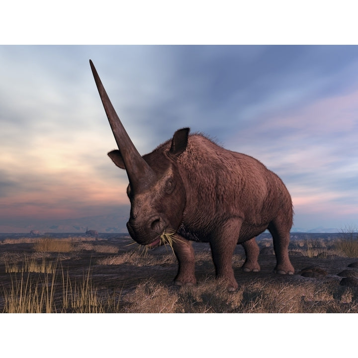 An Elasmotherium grazing Poster Print Image 1