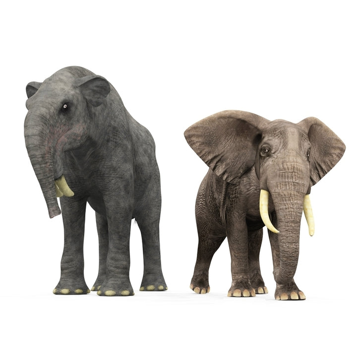 An adult Deinotherium compared to a modern adult African Elephant Poster Print Image 1