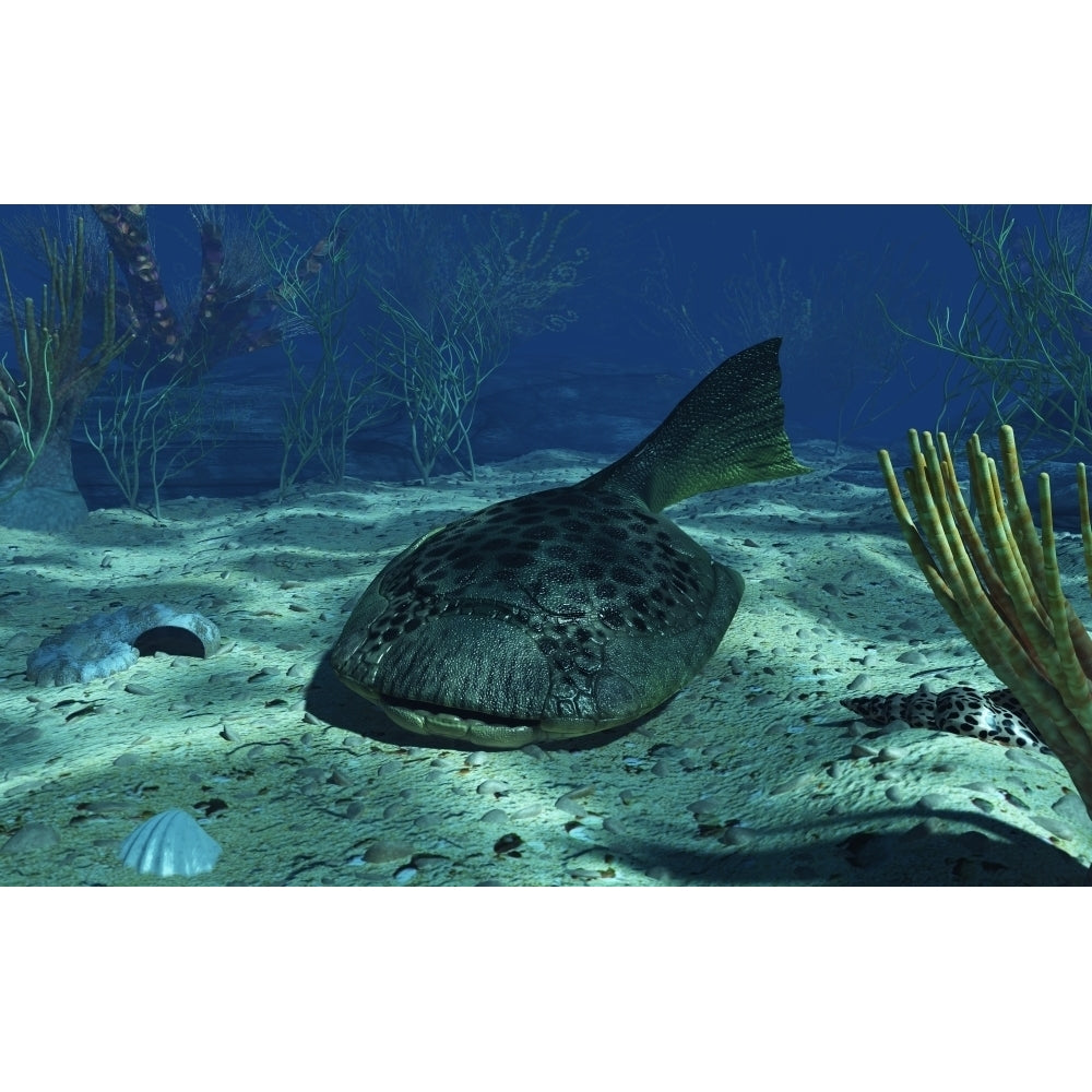 A Drepanaspis on the bottom of a shallow Devonian sea Poster Print Image 2