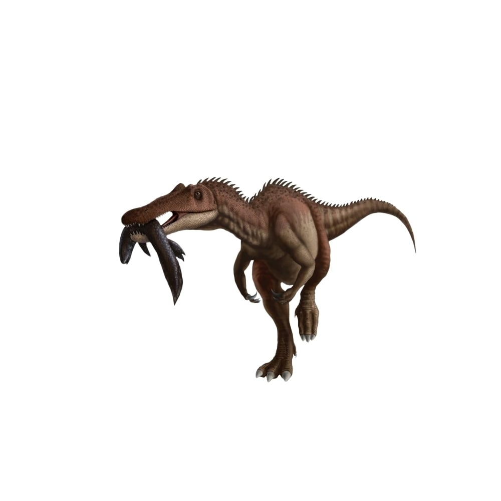 A Baryonyx dinosaur with a fish in mouth white background Poster Print Image 2