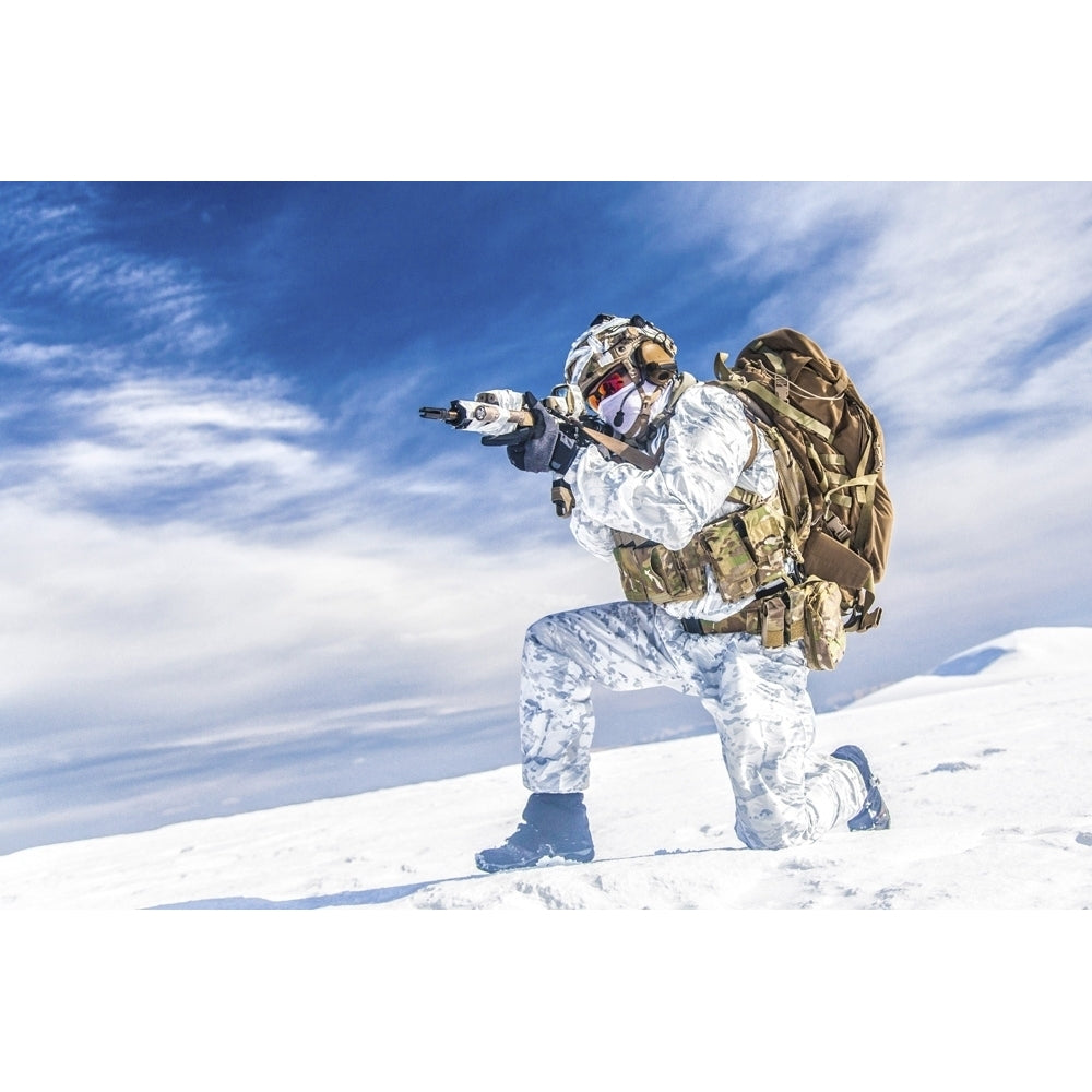 Army soldier shooting weapon in the arctic. Poster Print by Oleg Zabielin/Stocktrek Images Image 1