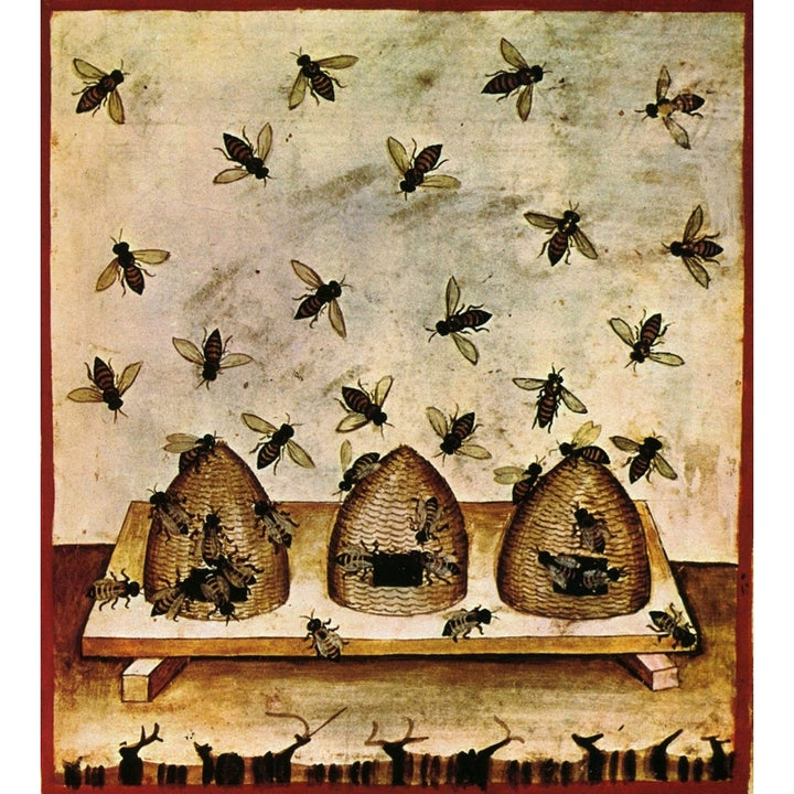 Beekeeping Arabic Medical Book 14th Century Poster Print by Science Source Image 2