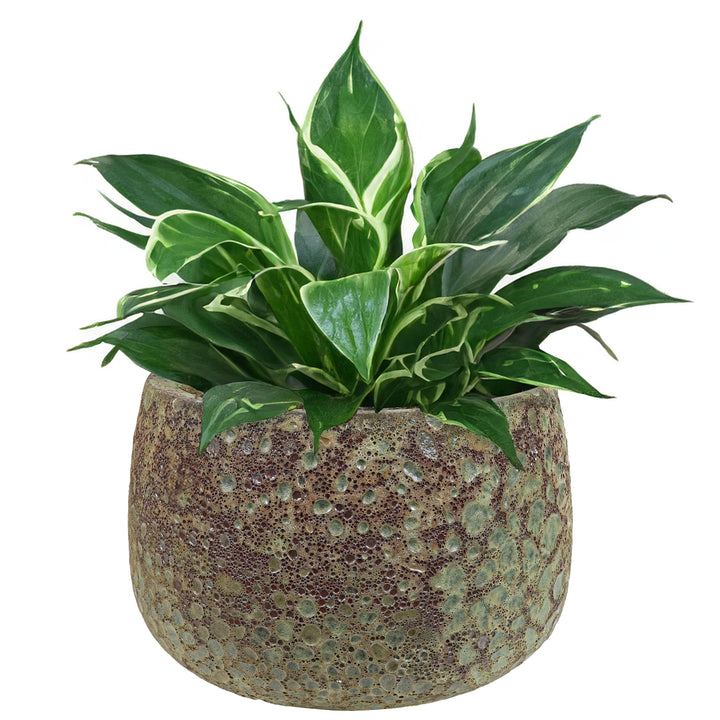 Sunnydaze 14" Lava Finish Planter - Green Distressed Ceramic - 2-Pack Image 6