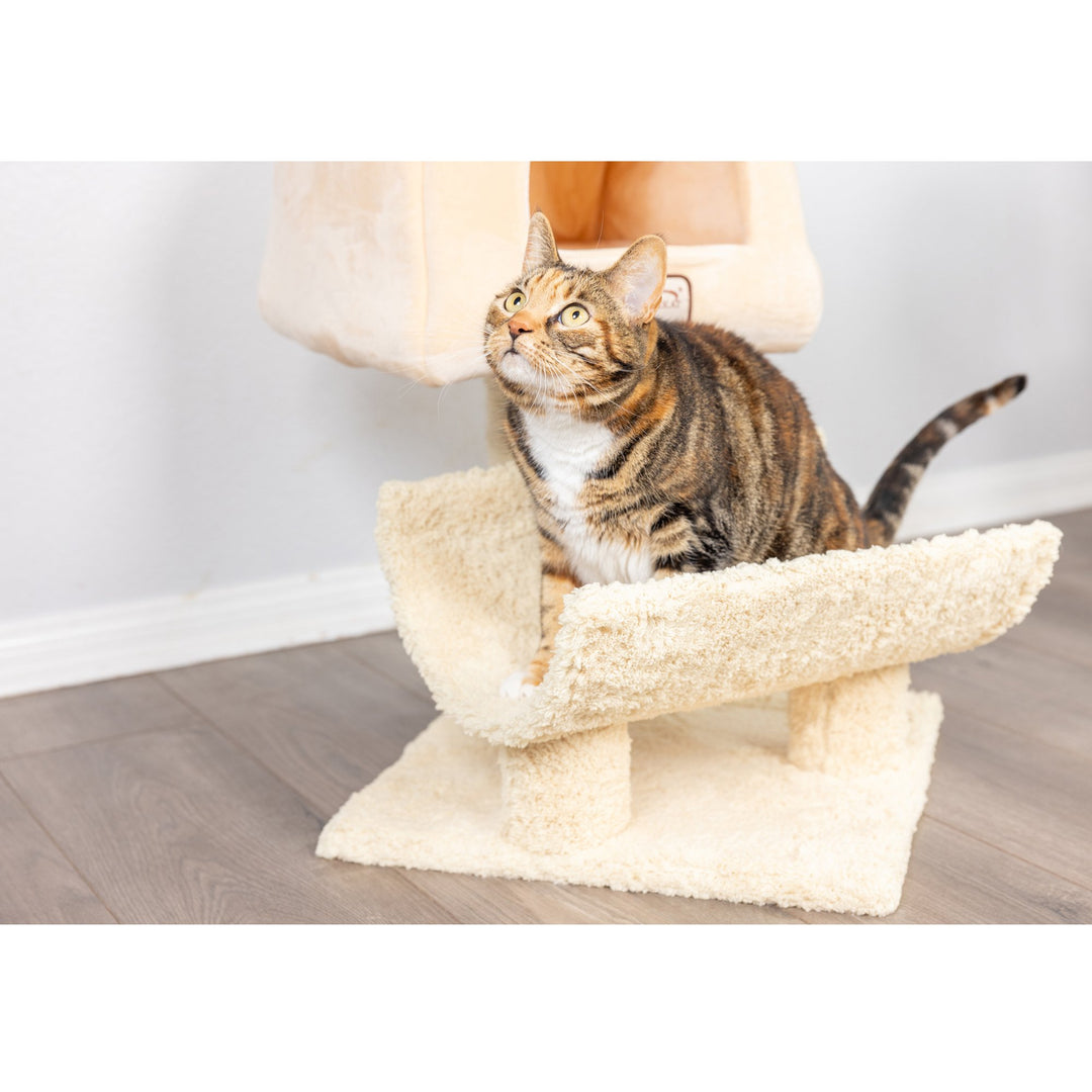 Armarkat X3007 Cat Tree Condo Goldenrod Real Wood Jackson Galaxy Approved 31" Image 6