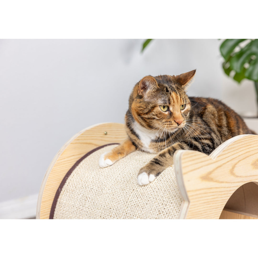 Armarkat S1203 Wood Cat Hideaway Natural Color with Soft Pad 15x15 Inches Image 7