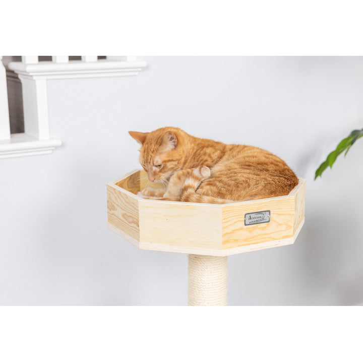 Armarkat Scots Pine Cat Tree 29 Inch Model S2906 with Perch and Condo Image 6